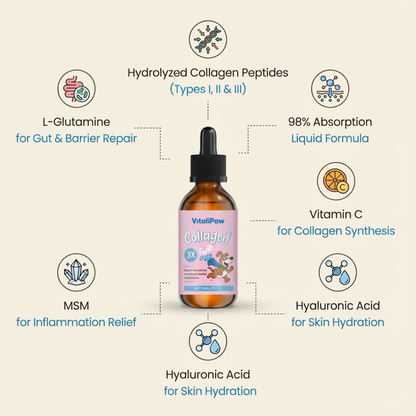 VitaliPaw® Premium Liquid Collagen