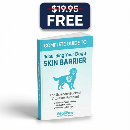 Complete Ebook Healing Guide