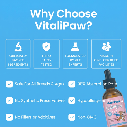 VitaliPaw® Premium Liquid Collagen